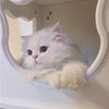 missmiscloset